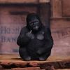 Gone Wild 15.5cm Apes & Primates Mittlere Figuren