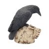 Ravens Remains 13cm Ravens Out Of Stock