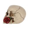 Rose From the Dead 15cm Skulls Valentine's Day Promotion