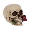 Rose From the Dead 15cm Skulls Valentine's Day Promotion