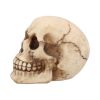 Joker 12cm Skulls Gifts Under £100
