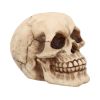 Joker 12cm Skulls Gifts Under £100