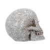 Priceless Grin 16cm Skulls Gifts Under £100