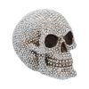Priceless Grin 16cm Skulls Gifts Under £100