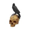 Salems Familiar 27cm Skulls Gifts Under £100