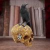 Salems Familiar 27cm Skulls Gifts Under £100