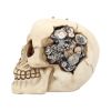 Clockwork Cranium 15cm Skulls Steampunk