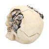 Clockwork Cranium 15cm Skulls Steampunk