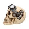 Goggles 15cm Skulls Gifts Under £100