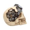 Goggles 15cm Skulls Gifts Under £100