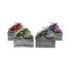 Dragon Safehold 8.4cm (Set of4) Dragons Out Of Stock