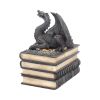 Secrets Of The Dragon 19cm Dragons Gifts Under £100