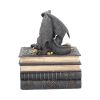 Secrets Of The Dragon 19cm Dragons Gifts Under £100
