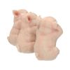 Three Wise Pigs 9.5cm Animals Out Of Stock