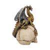 Dragon's Grasp 18.5cm Dragons Gifts Under £100