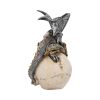 Steel Wing Skull 21cm Dragons Out Of Stock