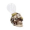 Bright Idea 17cm Skulls Roll Back Offer