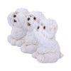 Three Wise Westies 8cm Dogs Gifts Under £100