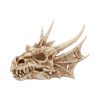 Lumo 25cm Dragons Drachen
