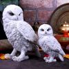 Snowy Watch Large 20cm Owls Figurines