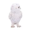 Snowy Watch Small 13.3cm Owls Statues Small (Under 15cm)