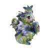Curious Hatchlings (Set of 4) 9cm Dragons Out Of Stock