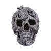 Cranial Drakos (Silver) 19.5cm Skulls Schädel
