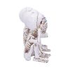 Three Wise Calaveras 20.3cm Skeletons Out Of Stock