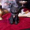 Vampuss 16cm Cats Gifts Under £100