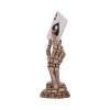 Ace Up Your Sleeve 18.4cm Skeletons Statues Medium (15cm to 30cm)
