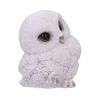Feathers 12.5cm Owls Gifts Under £100