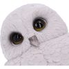 Feathers 12.5cm Owls Eulen