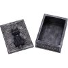 Familiar Spell Box 13.7cm Cats Gifts Under £100