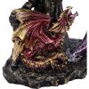 Hatchling Protection 15.2cm Dragons Year Of The Dragon