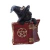 Kitty's Grimoire (Red) 8.2cm Cats Out Of Stock