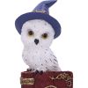 Avian Spell (Red) 12.5cm Owls Gifts Under £100
