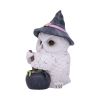 Owl Potion 17.5cm Owls Eulen
