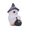 Owl Potion 17.5cm Owls Gifts Under £100