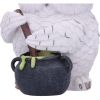 Owl Potion 17.5cm Owls Gifts Under £100