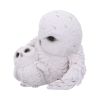 Feathered Guide 13.5cm Owls Mother's Day
