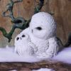 Feathered Guide 13.5cm Owls Statues Small (Under 15cm)