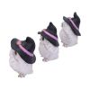 Three Wise Feathered Familiars 9cm Owls Statues Small (Under 15cm)