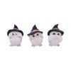 Three Wise Feathered Familiars 9cm Owls Gifts Under £100