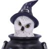 Owl's Brew 10cm Owls Gifts Under £100
