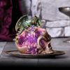 Crystalline Cranium 15.7cm Dragons Gifts Under £100