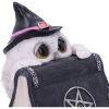 Owl's Spell 15cm Owls Gifts Under £100