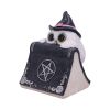 Owl's Spell 15cm Owls Gifts Under £100