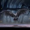 Dark Feather 55cm Owls Gifts Under £100