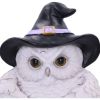 Snowy Magic Door Knocker 21cm Owls Gifts Under £100
