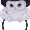 Snowy Magic Door Knocker 21cm Owls Gifts Under £100